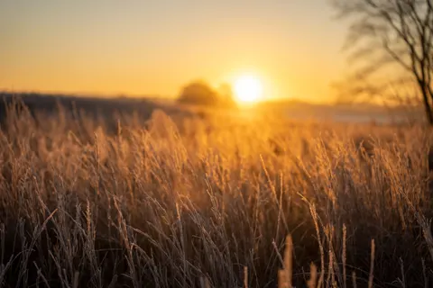 Altın Bozkır 4K Duvar Kağıdı · nature · 3840×2560