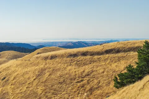 Altın Bozkır 4K Duvar Kağıdı · nature · 3840×2560