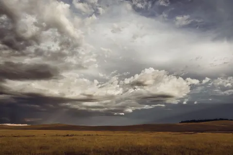 Fond d'écran Prairie doree 4K · nature · 3840×2560