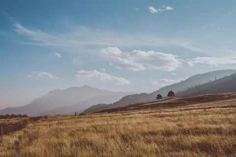 Altın Bozkır 4K Duvar Kağıdı · nature · 3840×2560