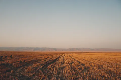 Countryside Field 4K Wallpaper · nature · 3840×2560