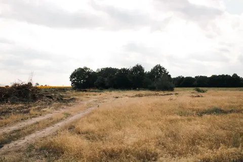 Altın Bozkır 4K Duvar Kağıdı · nature · 3840×2560