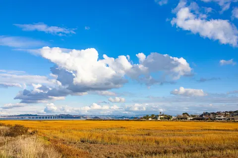 金色草原 4K桌布 · nature · 3840×2560