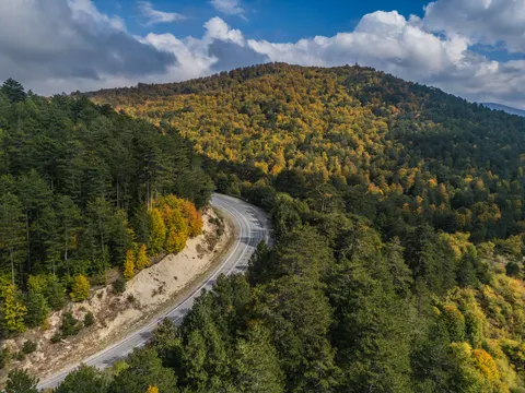 Autumn Forest 4K Wallpaper · nature · 3840×2880