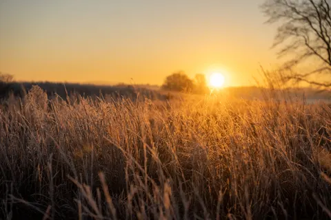Countryside Field 4K Wallpaper · nature · 3840×2560