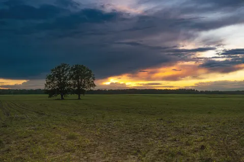Fondo de pantalla Campo rural 4K · nature · 3840×2560