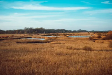 Fond d'écran Prairie doree 4K · nature · 3840×2563