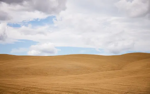 Gouden Prairie 4K-achtergrond · nature · 3840×2421