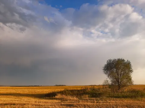 Papel de parede Pradaria dourada 4K · nature · 3840×2875