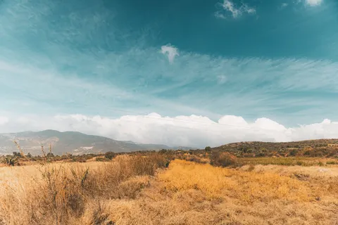 Fond d'écran Prairie doree 4K · nature · 3840×2560