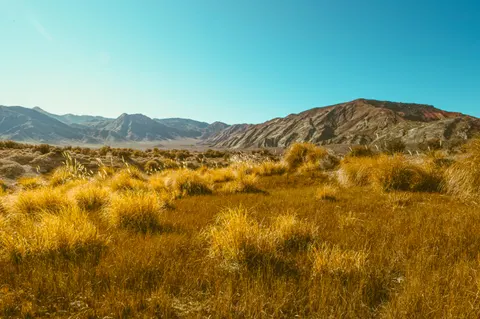 Hình nền Thảo Nguyên Vàng 4K · nature · 3840×2553