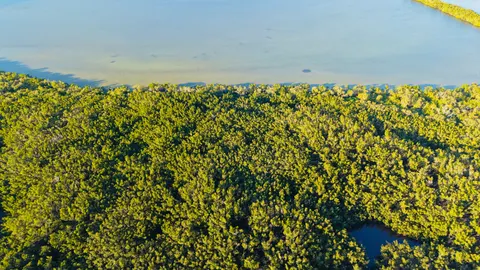 Island Aerial 4K Wallpaper · ocean · 3840×2160