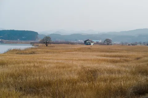 金色草原 4K桌布 · nature · 3840×2552