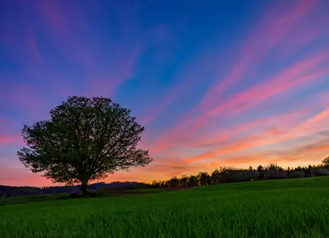 乡村田野 4K壁纸 · nature · 3840×2777
