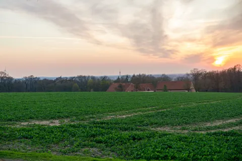 خلفية حقل ريفي بدقة 4K · nature · 3840×2560