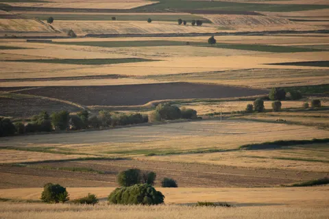 Fond d'écran Champ de campagne 4K · nature · 3840×2560