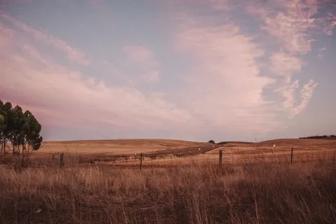 Countryside Field 4K Wallpaper · nature · 3840×2560