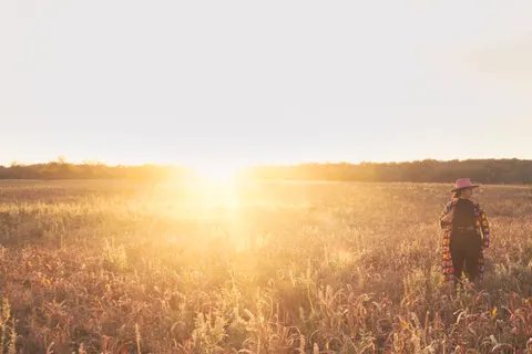 시골 들판 4K 배경화면 · nature · 3840×2560