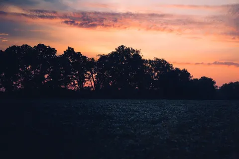 خلفية حقل ريفي بدقة 4K · nature · 3840×2563