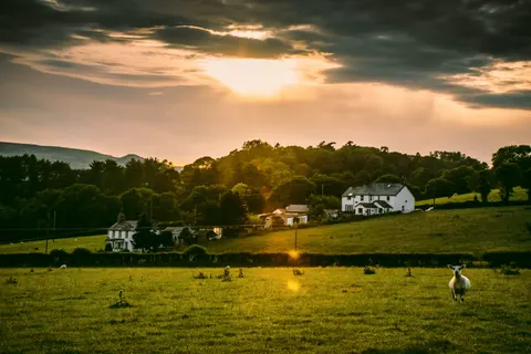 Fond d'écran Champ de campagne 4K · nature · 3840×2560