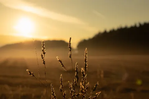 خلفية حقل ريفي بدقة 4K · nature · 3840×2560