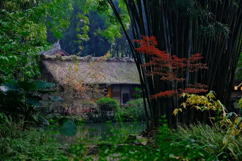 竹林 4K壁纸 · nature · 3840×2560