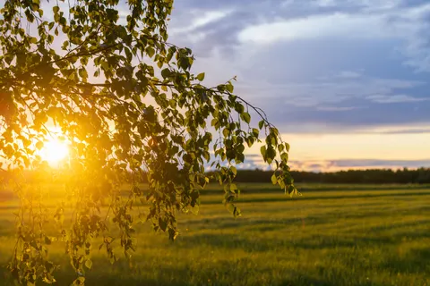 Countryside Field 4K Wallpaper · nature · 3840×2561