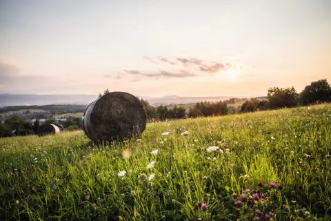 Countryside Field 4K Wallpaper · nature · 3840×2560