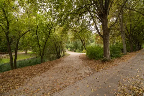 Sfondo Parco Autunnale 4K · autumn · 3840×2560