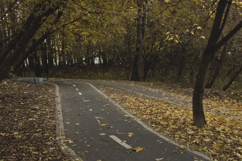 Herbstlicher Park 4K Hintergrundbild · autumn · 3840×2560