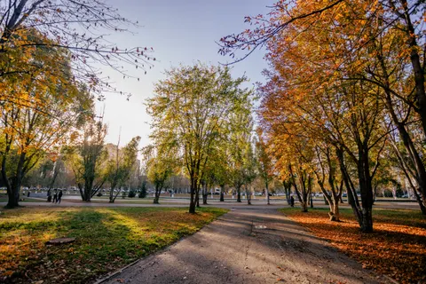 والپیپر پارک پاییزی با کیفیت 4K · autumn · 3840×2560