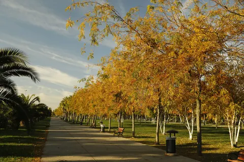 والپیپر پارک پاییزی با کیفیت 4K · autumn · 3840×2560