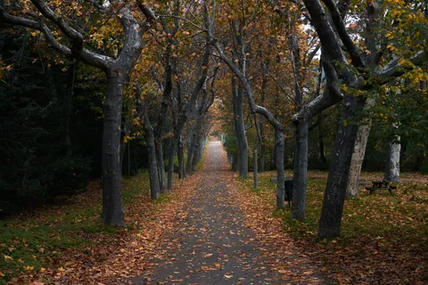 Autumn Park 4K Wallpaper · autumn · 3840×2560