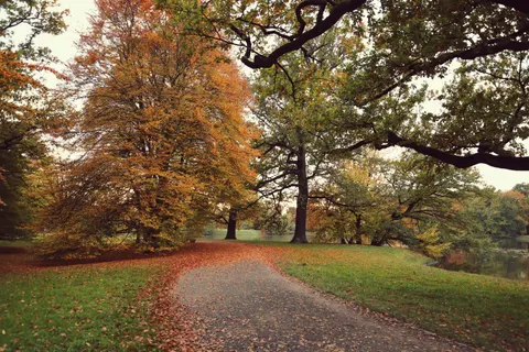 والپیپر پارک پاییزی با کیفیت 4K · autumn · 3840×2560