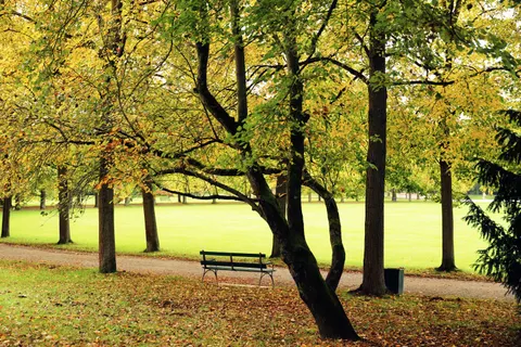 Sfondo Parco Autunnale 4K · autumn · 3840×2560