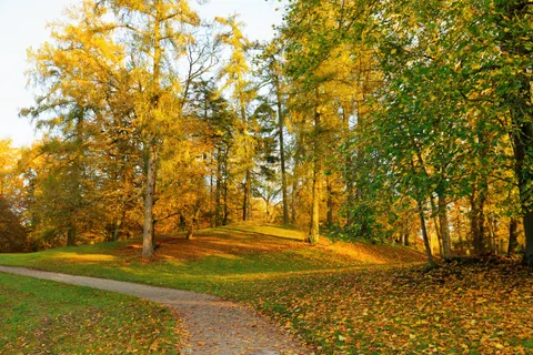 Herbstlicher Park 4K Hintergrundbild · autumn · 3840×2560
