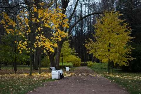 Herbstlicher Park 4K Hintergrundbild · autumn · 3840×2560