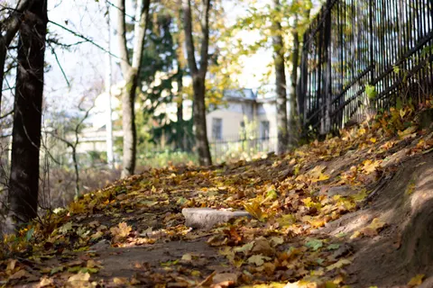 والپیپر پارک پاییزی با کیفیت 4K · autumn · 3840×2560