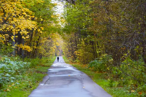 Autumn Park 4K Wallpaper · autumn · 3840×2560