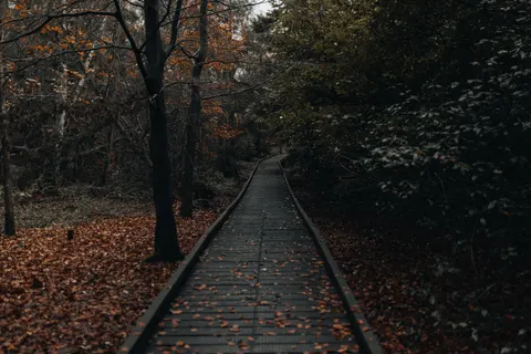 Sfondo Parco Autunnale 4K · autumn · 3840×2560