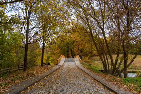 والپیپر پارک پاییزی با کیفیت 4K · autumn · 3840×2560