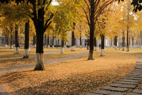 Sfondo Parco Autunnale 4K · autumn · 3840×2560