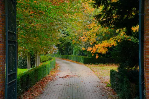 Tapeta Jesienny Park 4K · autumn · 3840×2560