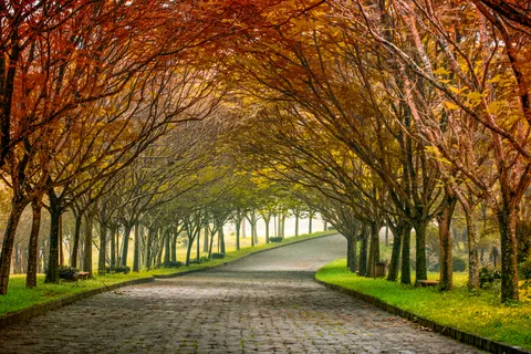 Herbstlicher Park 4K Hintergrundbild · autumn · 3840×2561