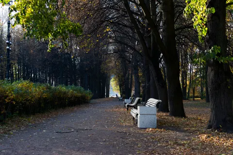 Autumn Park 4K Wallpaper · autumn · 3840×2560