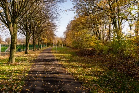 والپیپر پارک پاییزی با کیفیت 4K · autumn · 3840×2560