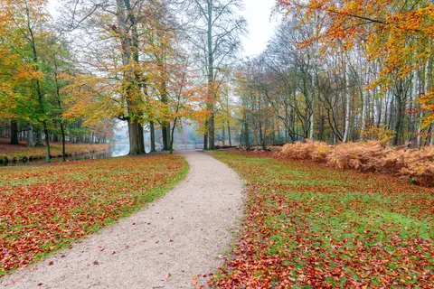 Sfondo Parco Autunnale 4K · autumn · 3840×2561