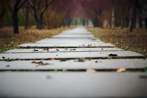 والپیپر پارک پاییزی با کیفیت 4K · autumn · 3840×2560
