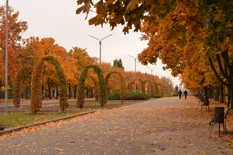 والپیپر پارک پاییزی با کیفیت 4K · autumn · 3840×2560