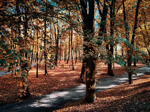 Sfondo Parco Autunnale 4K · autumn · 3840×2880